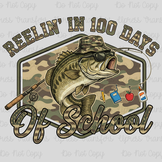 Reelin In 100 Days