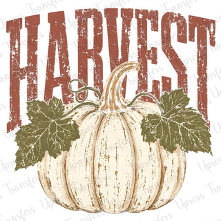 Retro Harvest Distressed