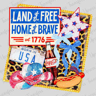 Rustic USA Cheetah Frame