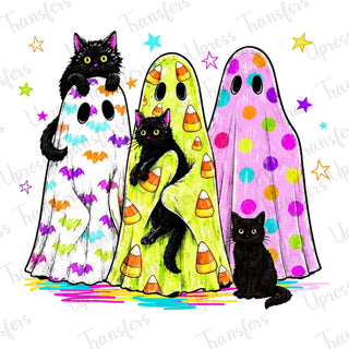 Shy Ghosts and Cats