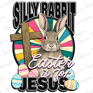 Silly Rabbit Bunny