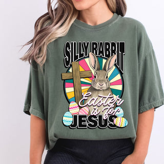 Silly Rabbit Bunny