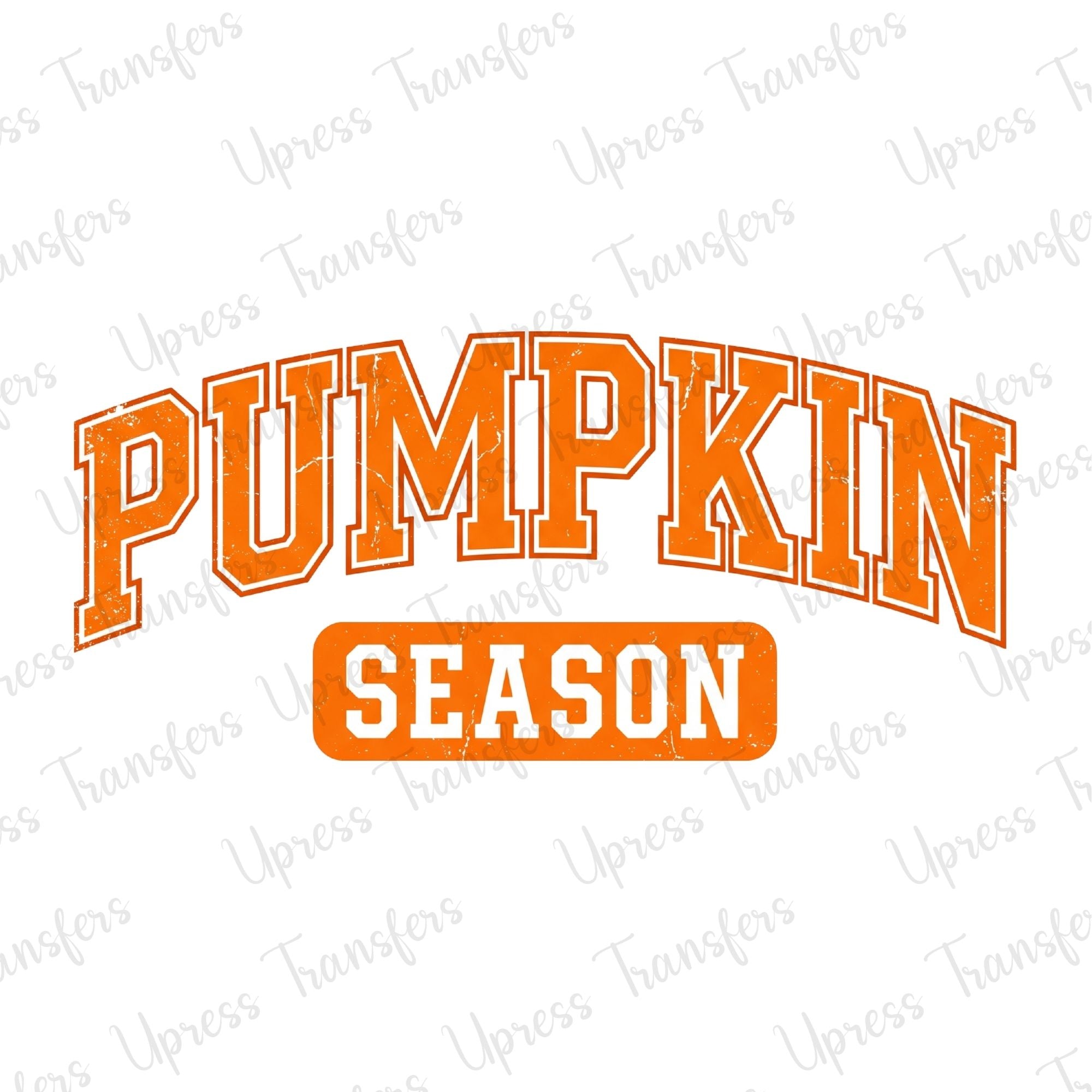 Simple Pumpkin Season Arch