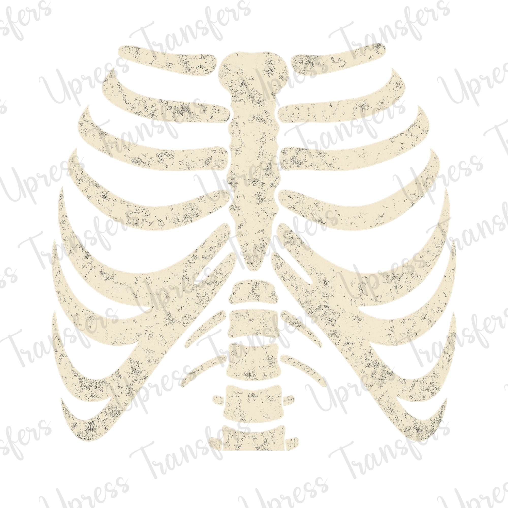Skeleton Ribs – U Press Transfers