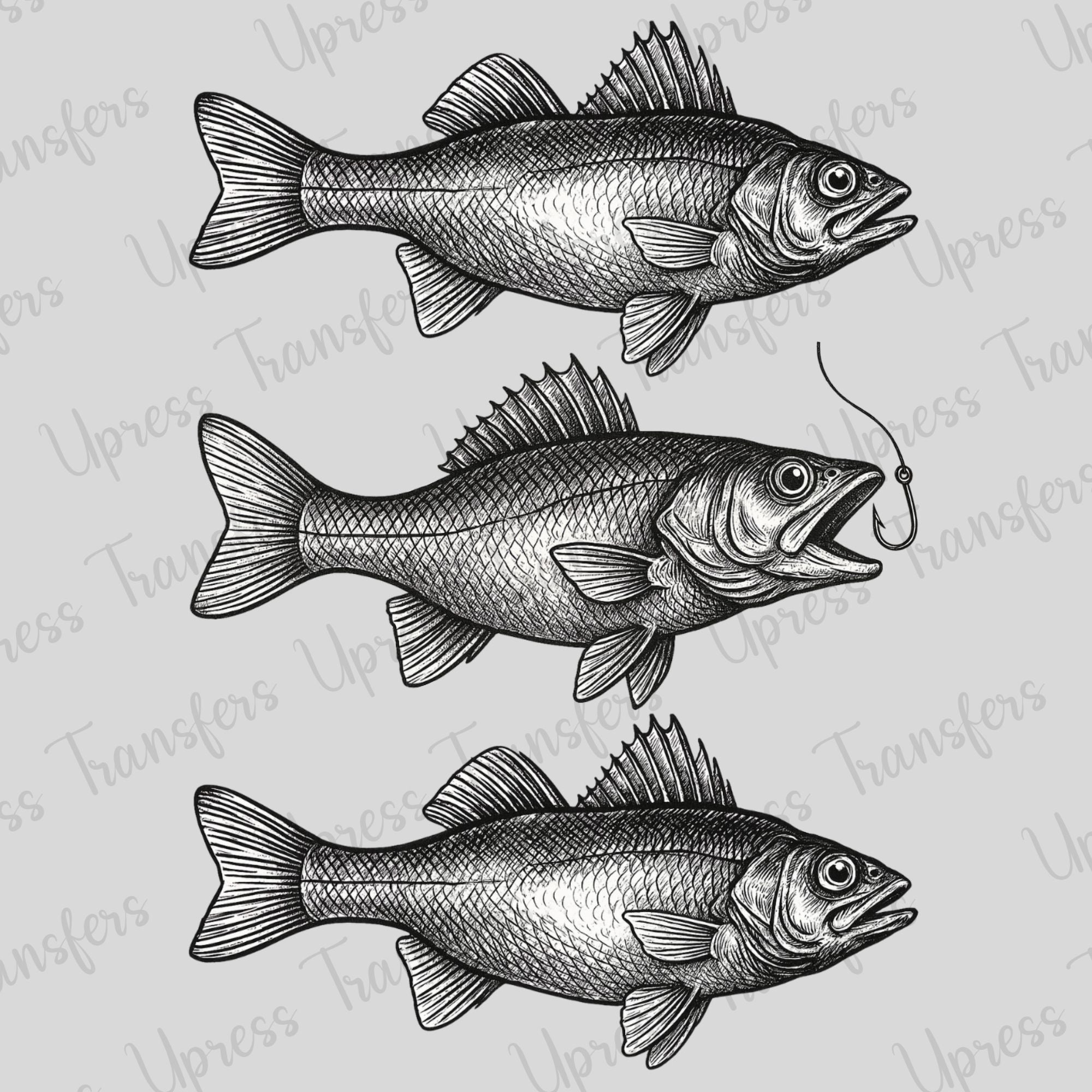 Steched Fish Sketched Fish Trio – U Press Transfers