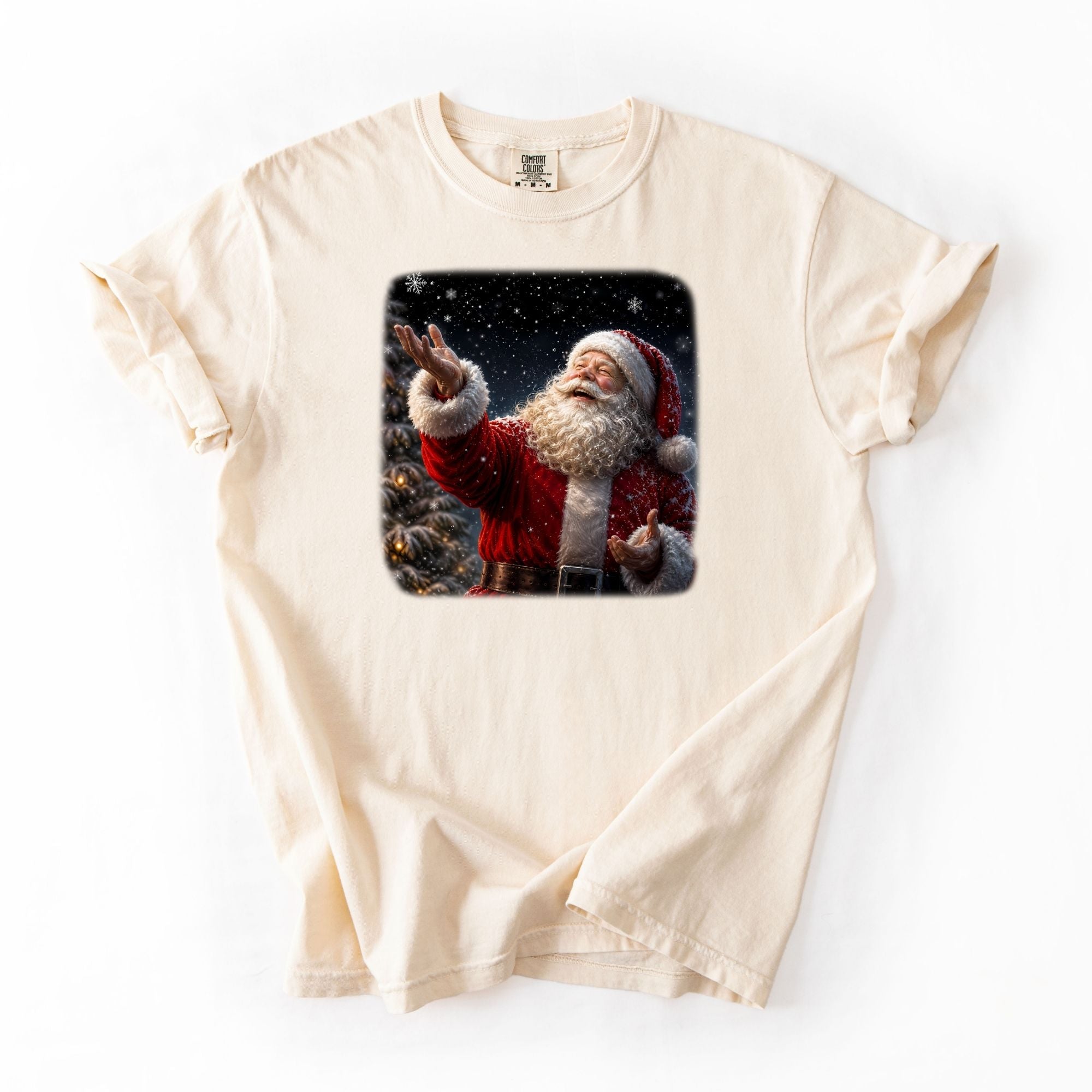 Smiling Santa Snow Flake