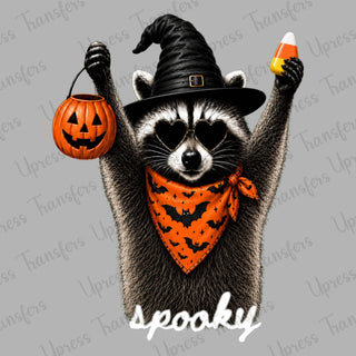 Spooky Raccoon Candy