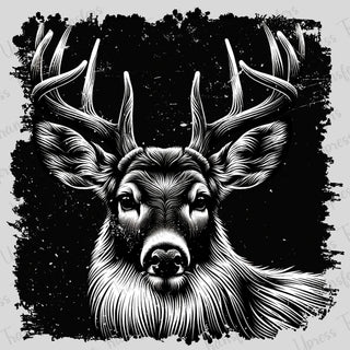 Staring Buck