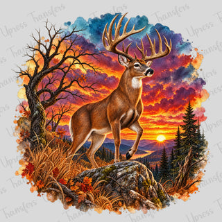 Sunrise Buck
