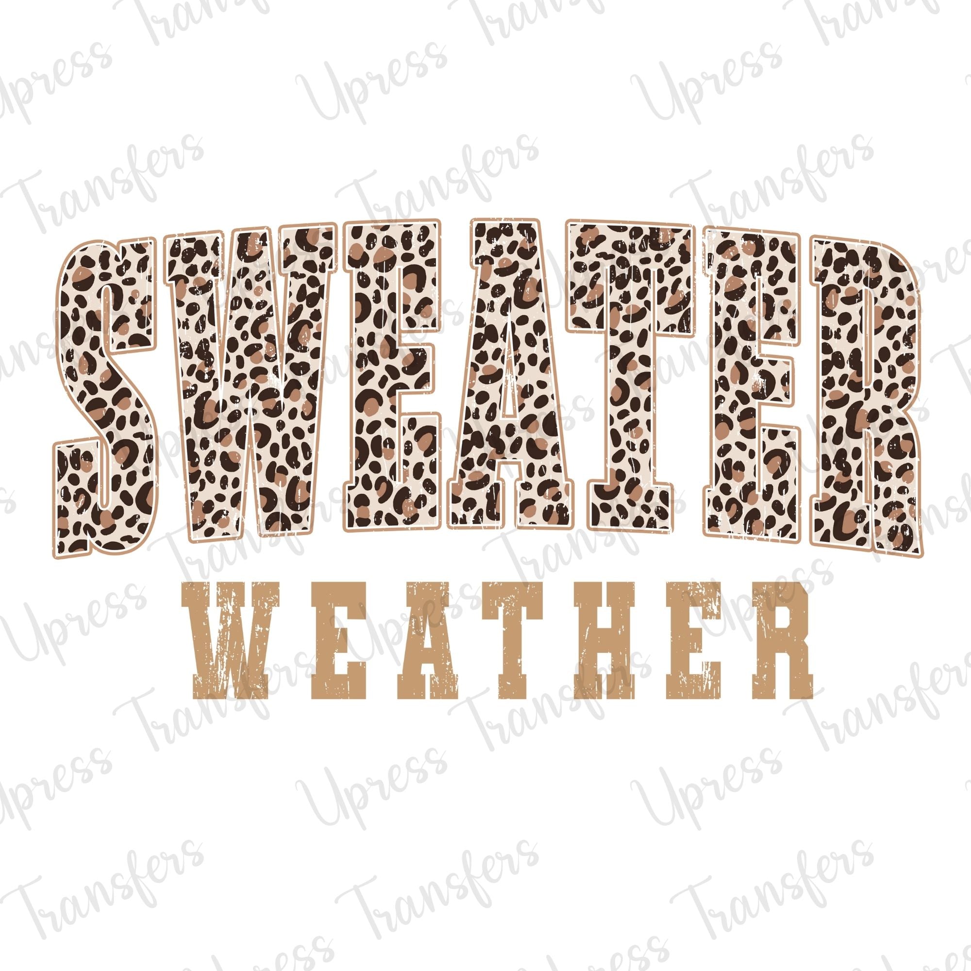 Sweater Weather Leopard Varsity