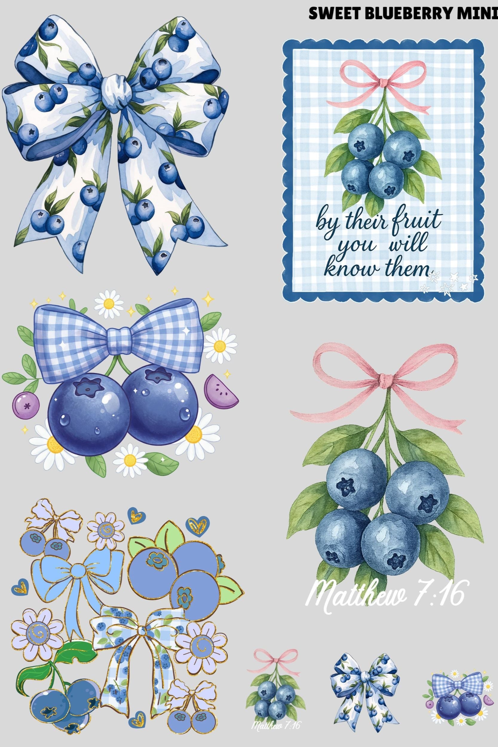 Sweet Blueberry Mini