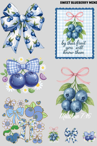 Sweet Blueberry Mini