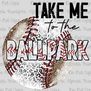 Take Me To The Ballpark Patterned Ball