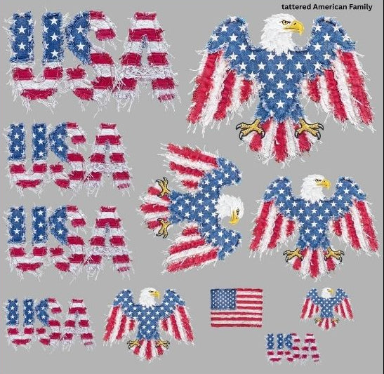 Tattered American Family