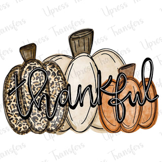 Thankful Boho Pumpkin Trio Script