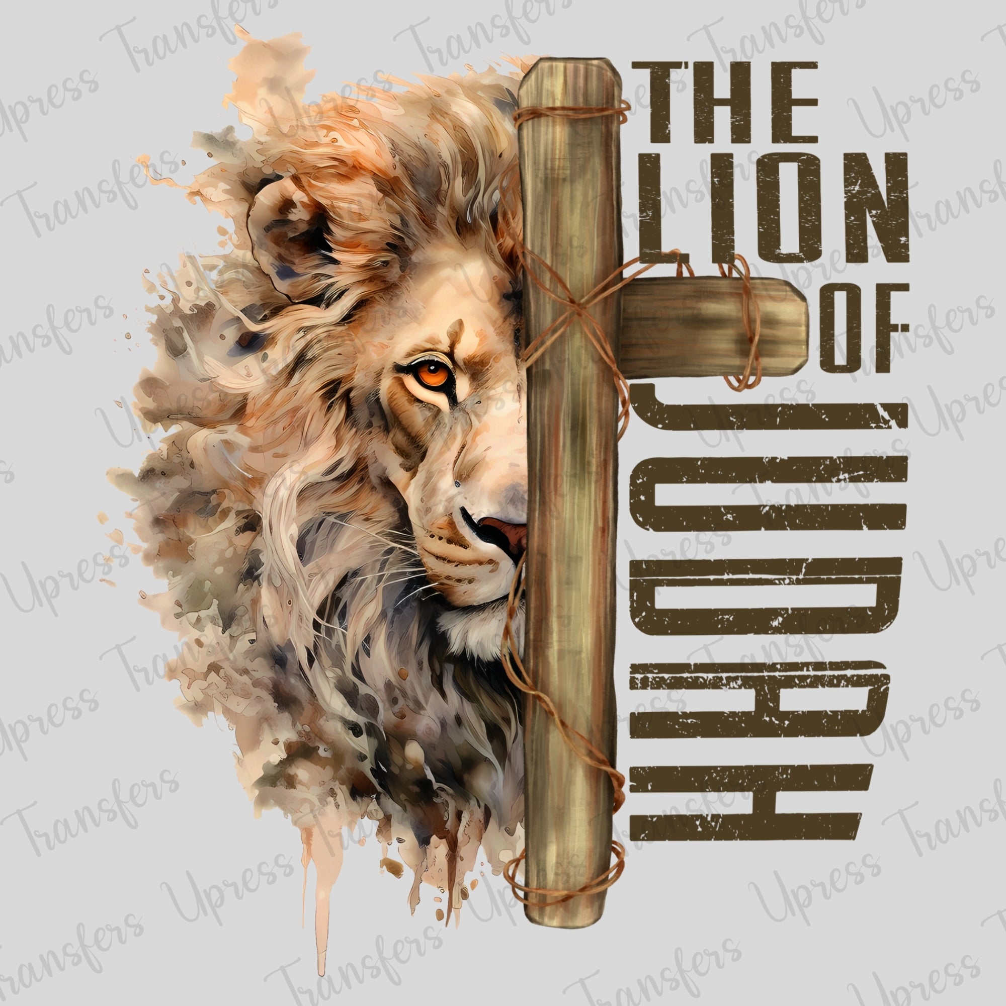 The Lion Of Judah