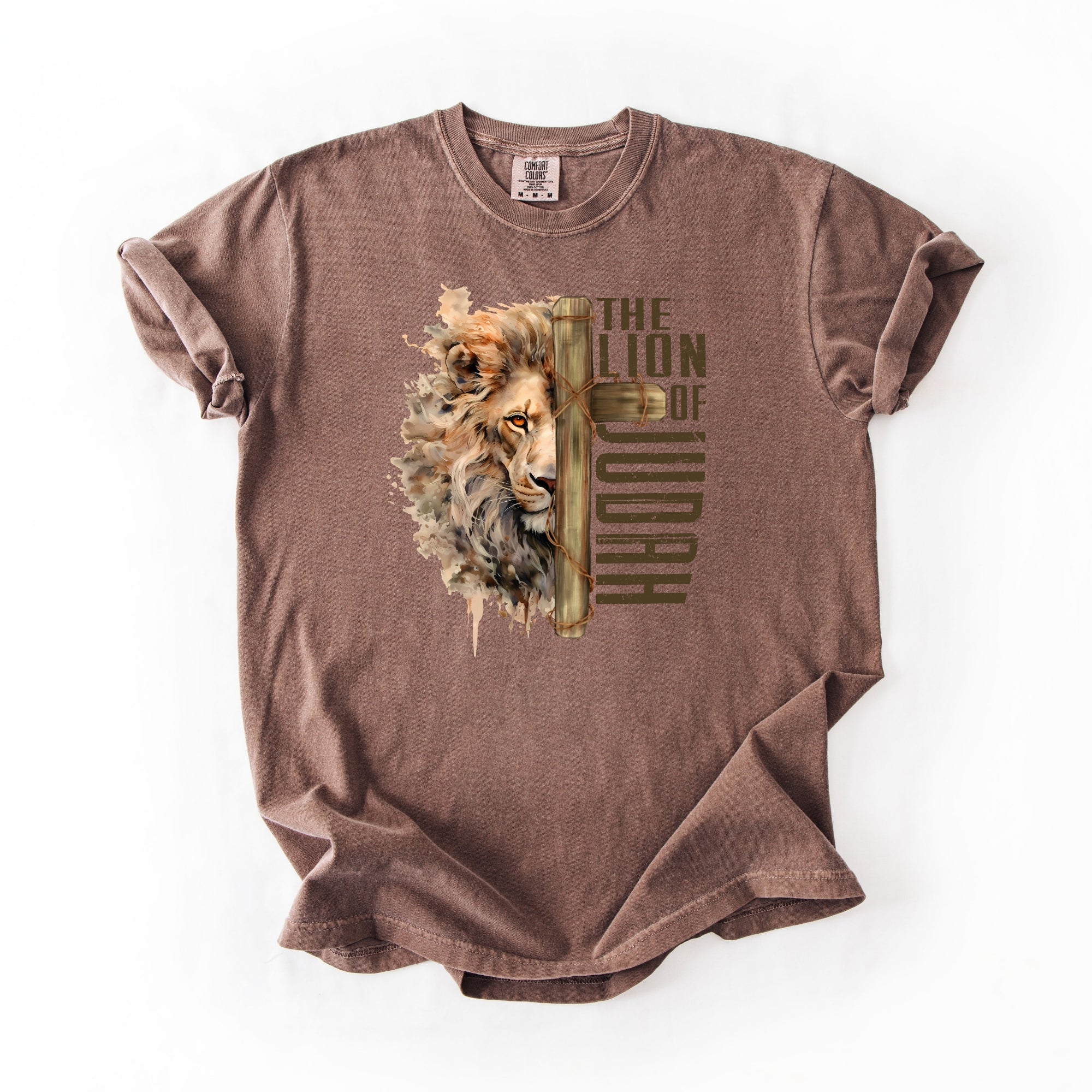 The Lion Of Judah