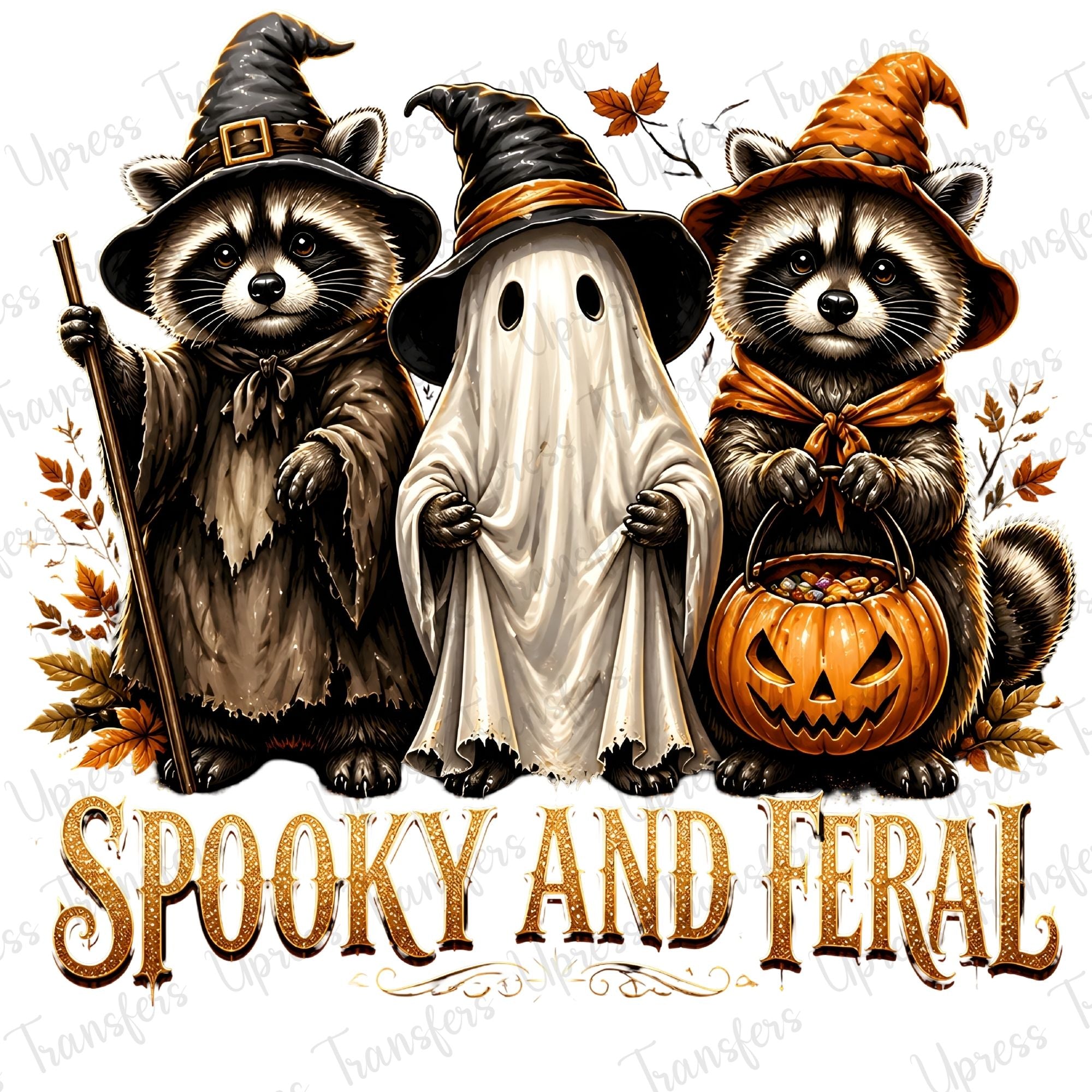 Three Halloween Racoons