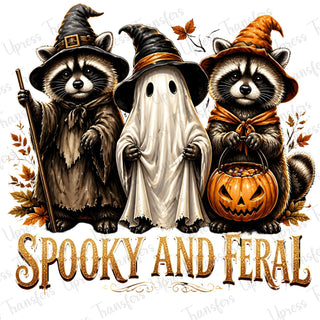 Three Halloween Racoons