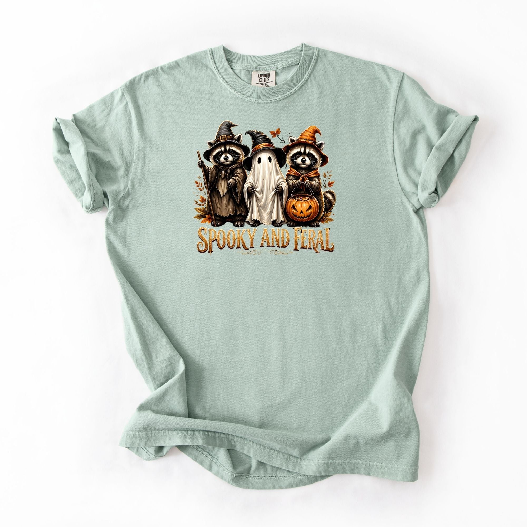 Three Halloween Racoons