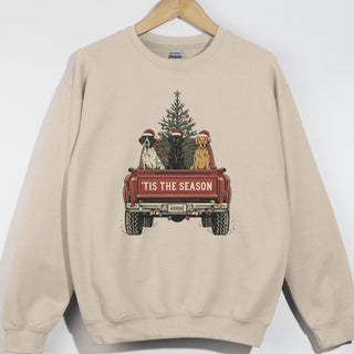 Tis The Season Dog Trio Truck