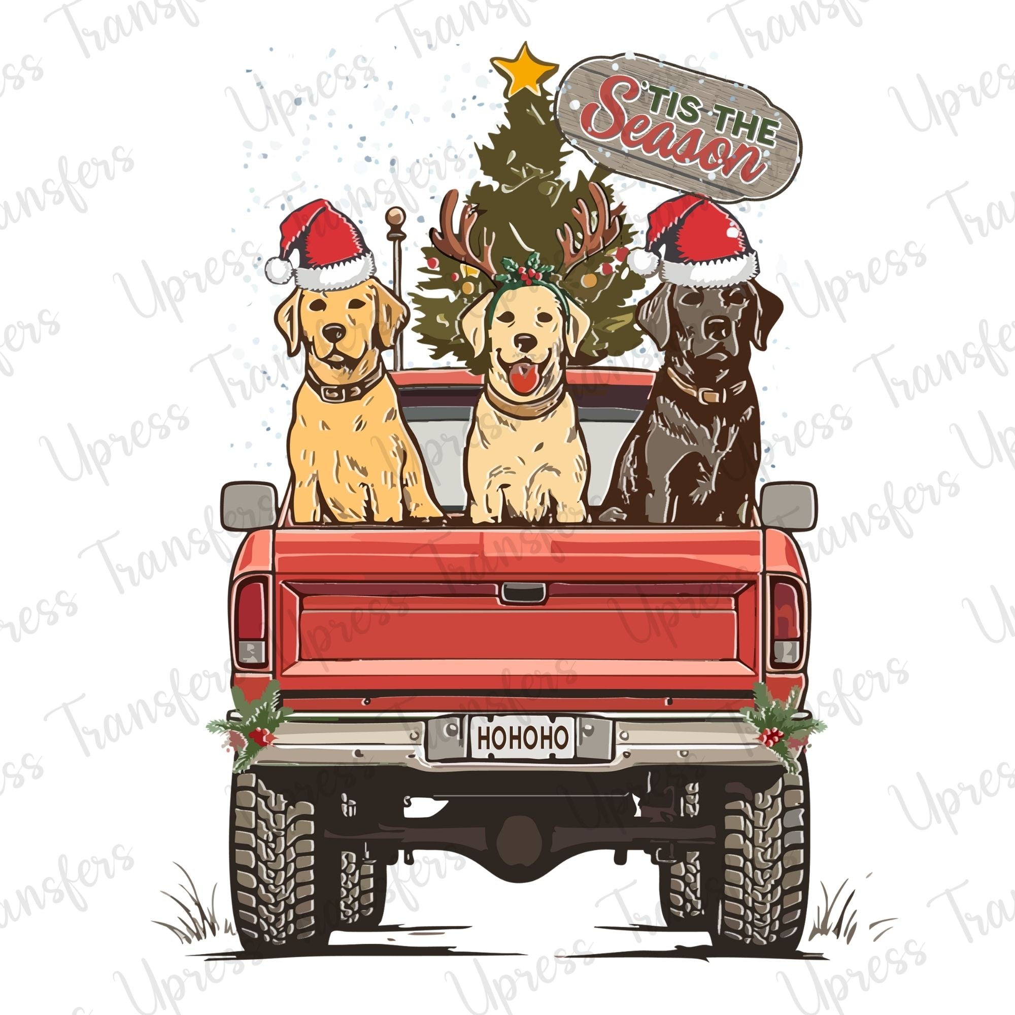 Tis The Season Dog Truck Trio