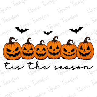 Tis The Season Six Pumpkins