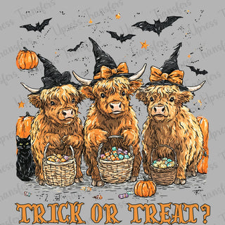 Trick Or Treat Question