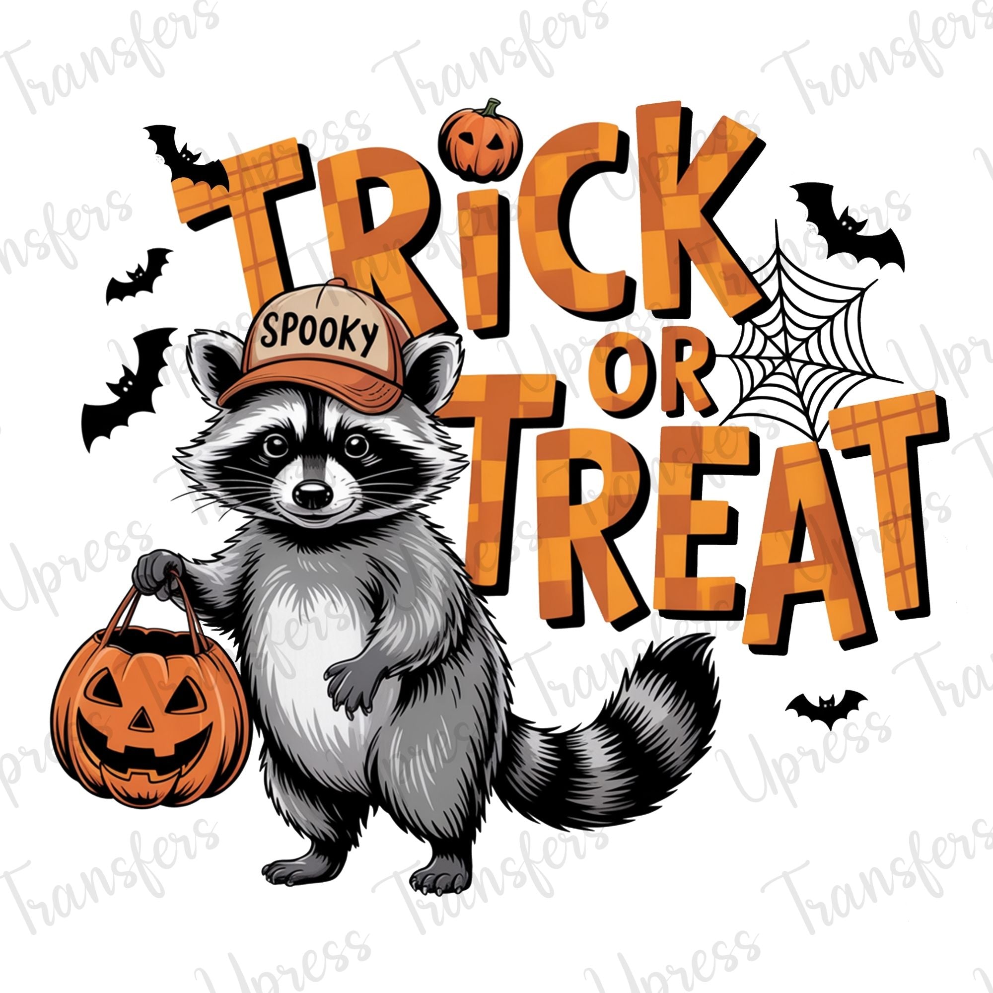 Trick or Treat Spooky Raccoon