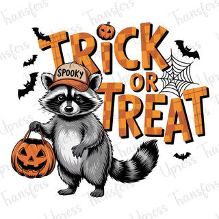Trick or Treat Spooky Raccoon
