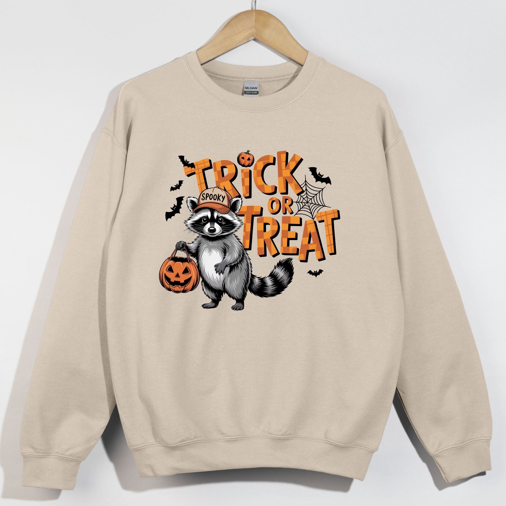 Trick or Treat Spooky Raccoon