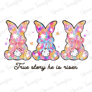 True Story Bunny Trio