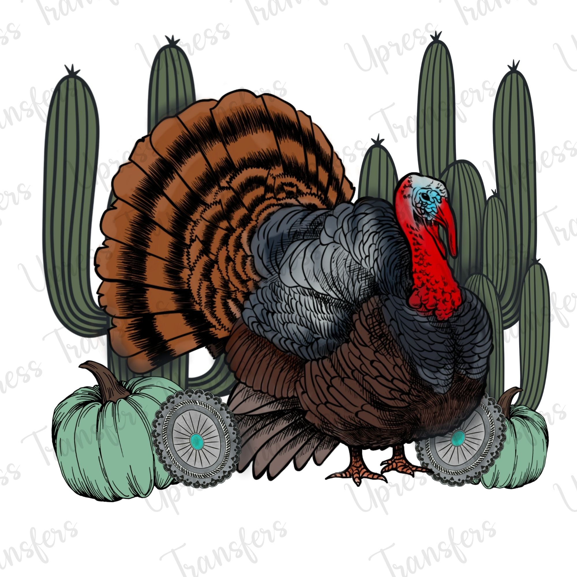 Turkey Cacti Western