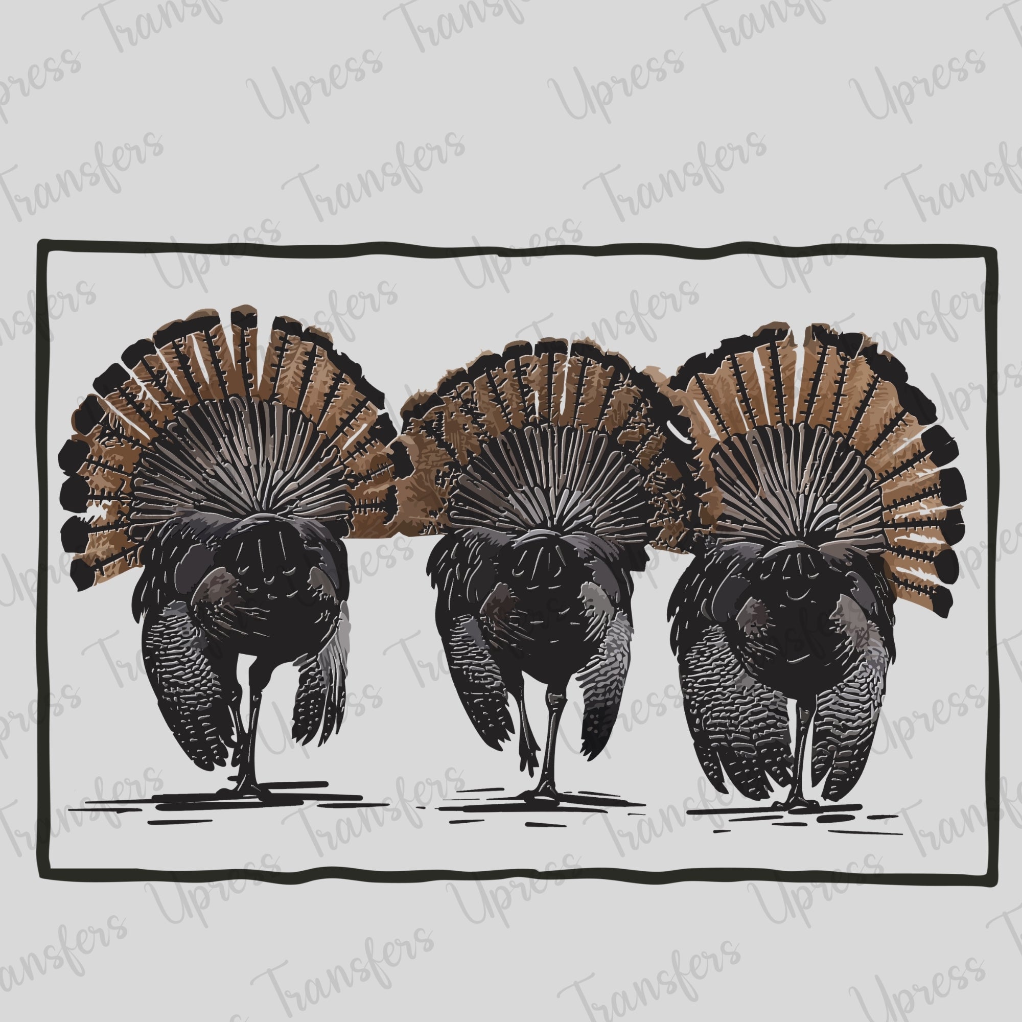 Turkey Feathers
