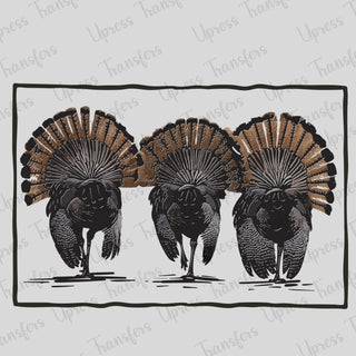 Turkey Feathers