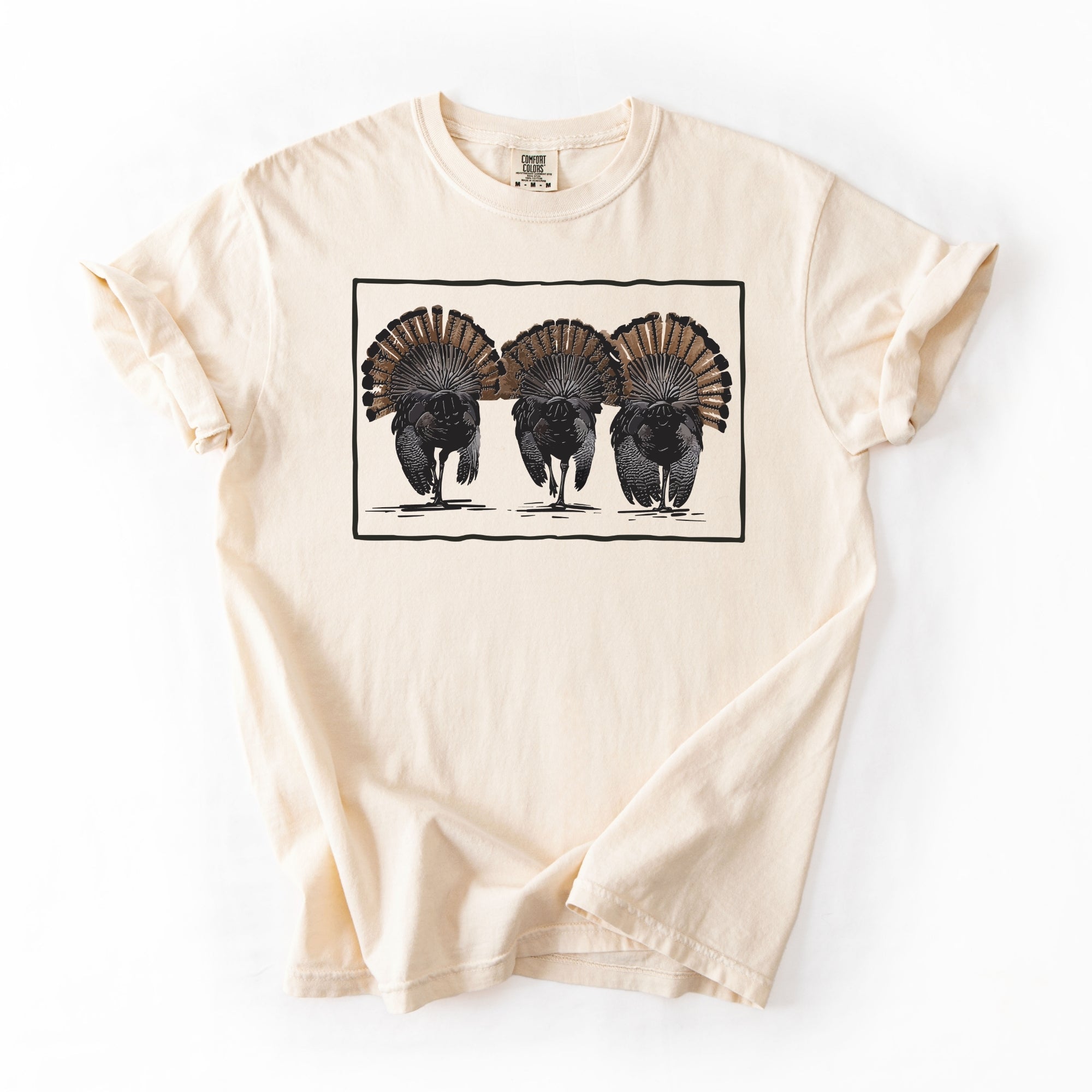 Turkey Feathers