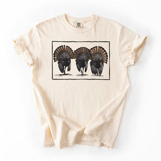 Turkey Feathers