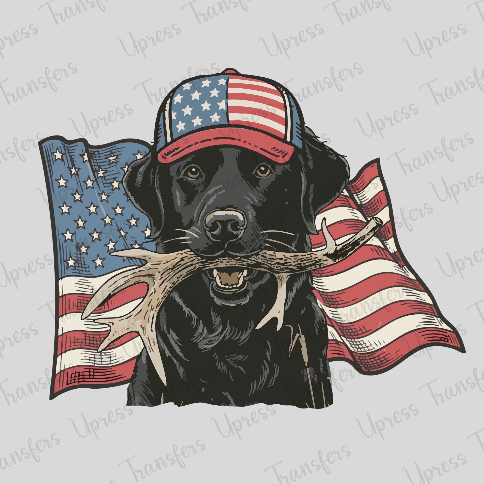 USA Flag Lab