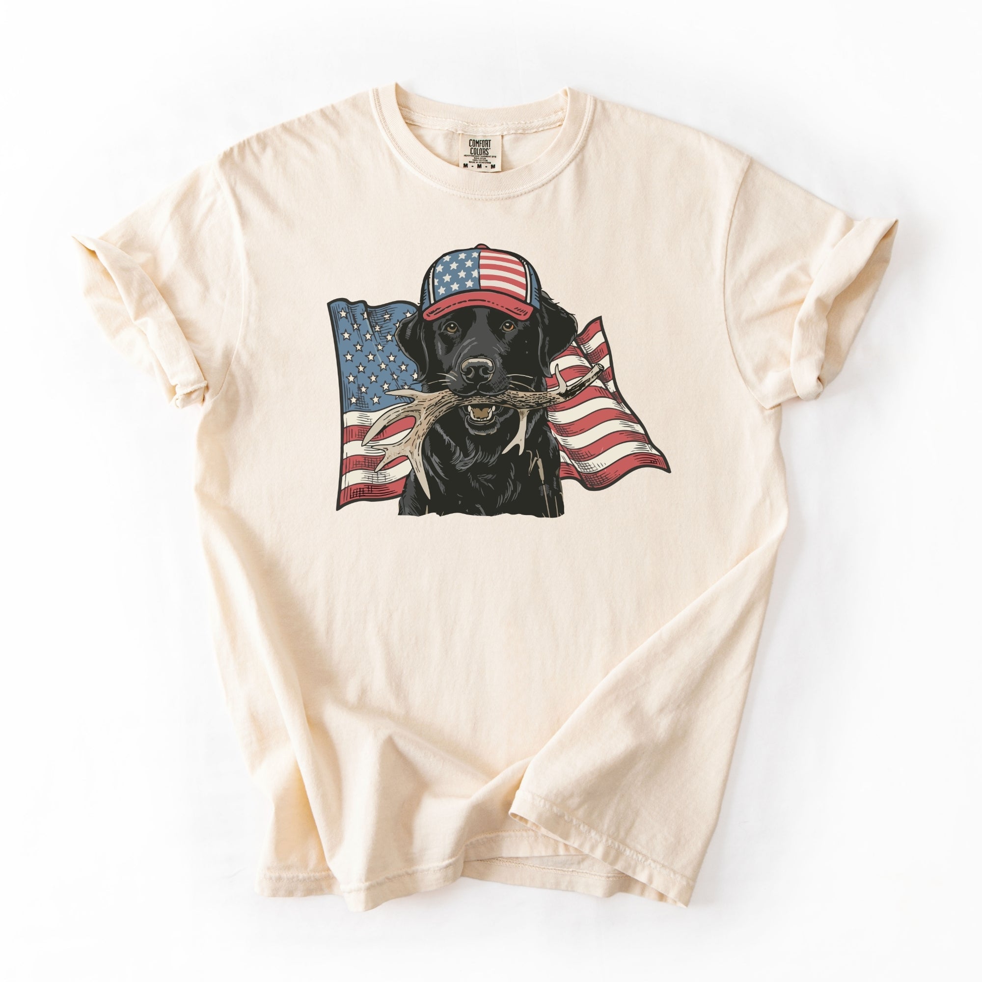 USA Flag Lab