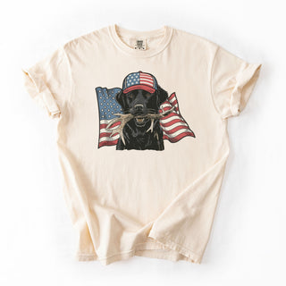 USA Flag Lab