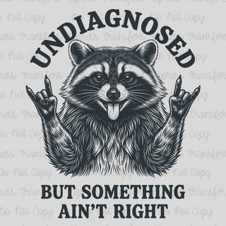 Undiagnosed Rockin Raccoon
