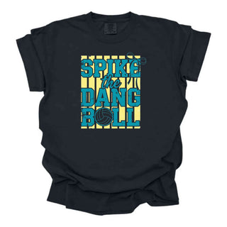 Vibrant Yellow And Blue volley ball