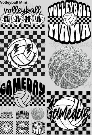 Volleyball Mini