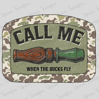 When The Ducks Fly