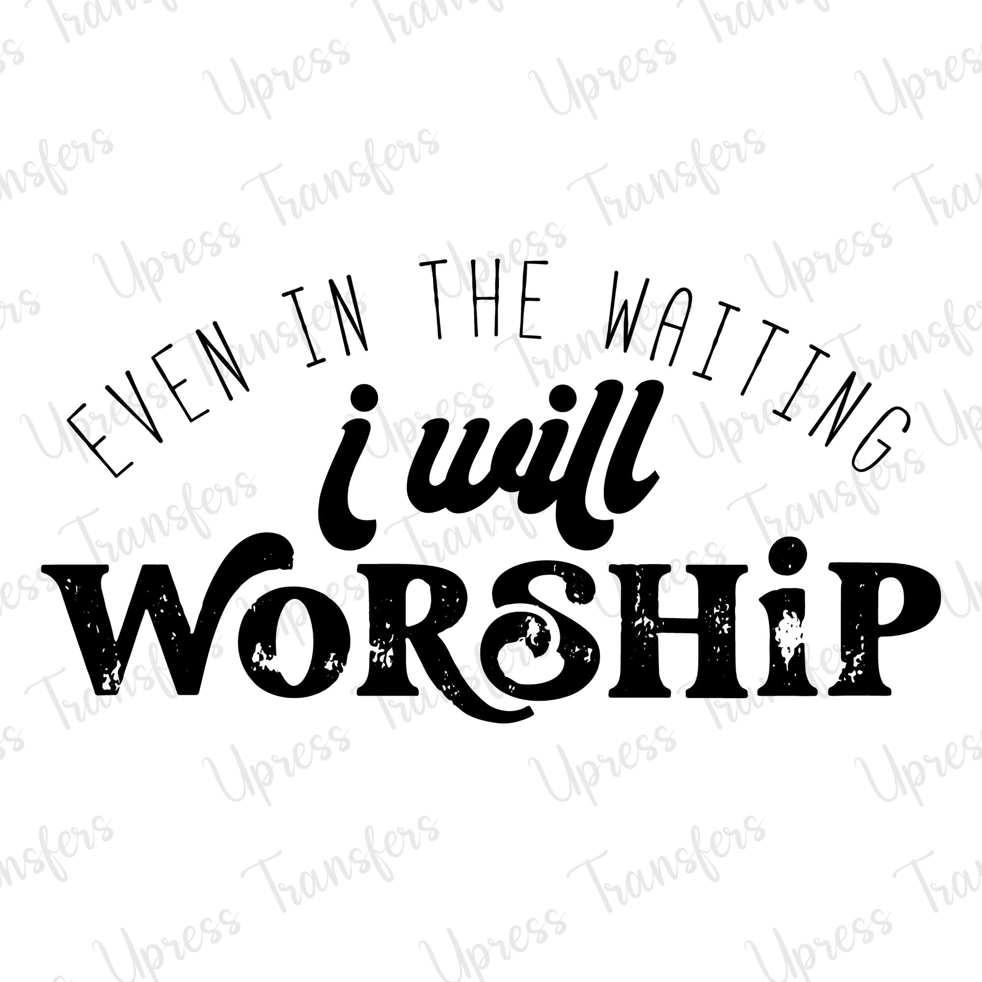 Will Worship Black