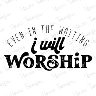 Will Worship Black