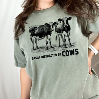 Easily Distracted by Cows