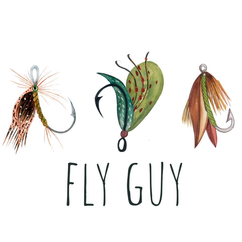 Fly Guy – U Press Transfers