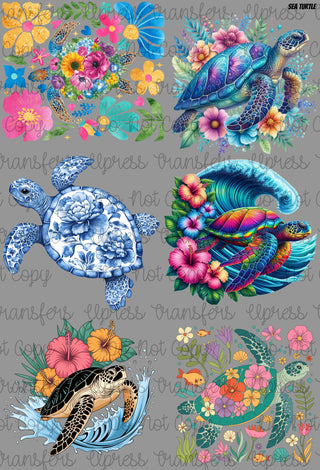 Sea Turtle