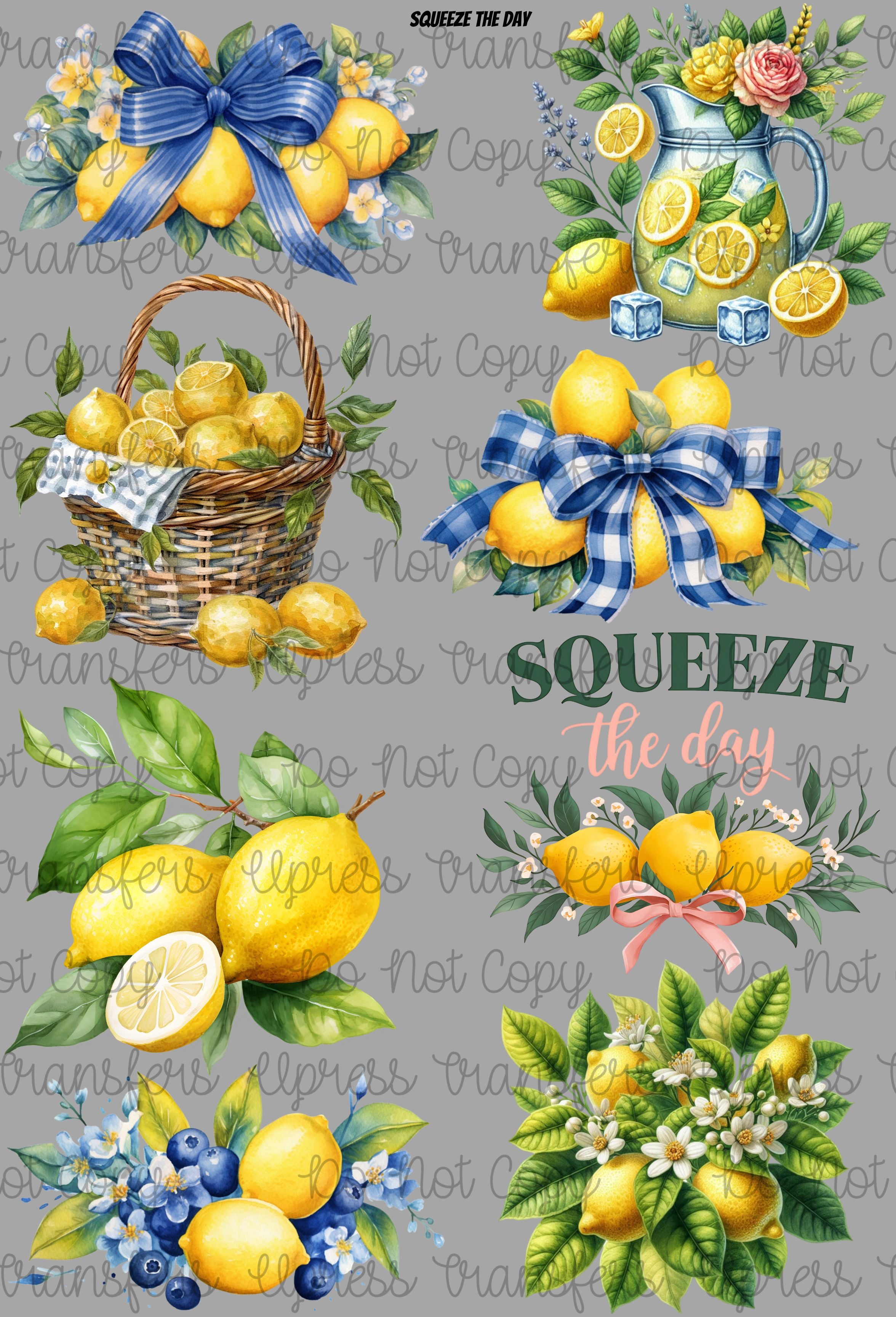 Squeeze The Day